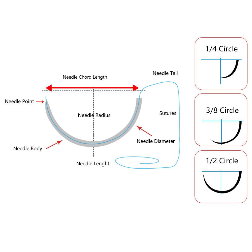 needle-1